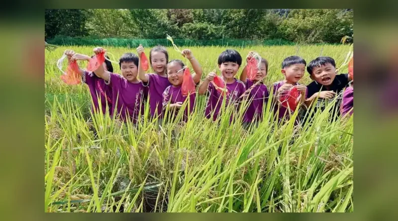 완주 와일드로컬푸드축제 기본 정보