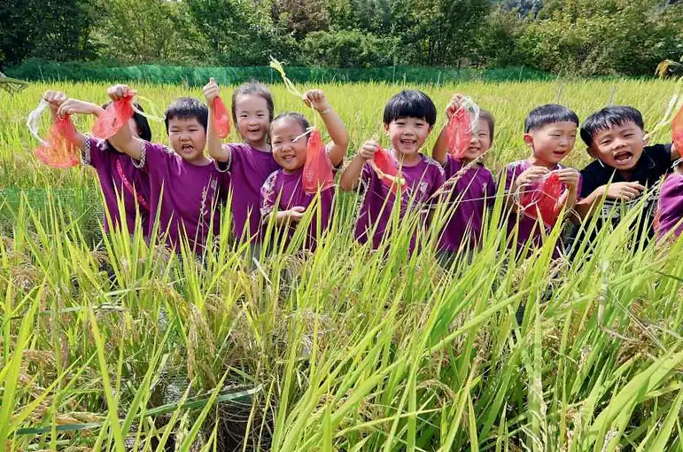 완주 와일드로컬푸드축제 기본 정보