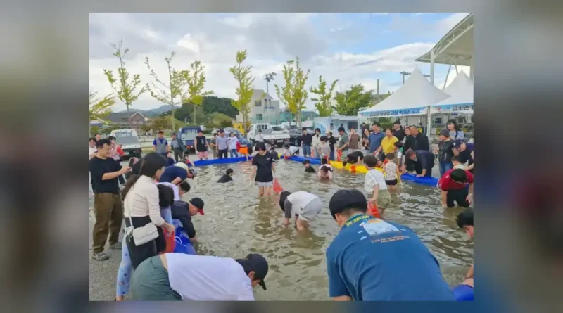 부안 곰소젓갈 왕새우축제 일정 한눈에 보기