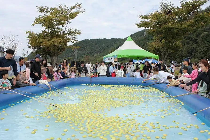 성주가야산황금들녘메뚜기축제 스탬프 투어와 보물찾기