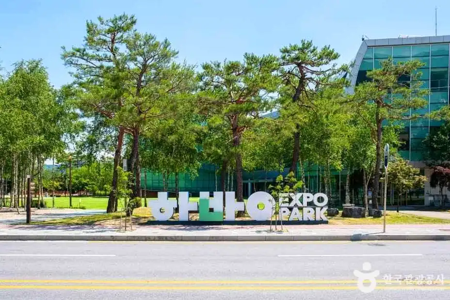 제천국제한방천연물산업엑스포 일정 제천약령시와 한방통보 이벤트