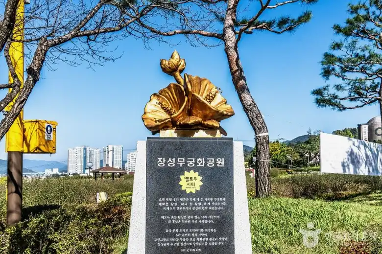 장성 영천 막걸리 축제 차량 통제와 귀가
