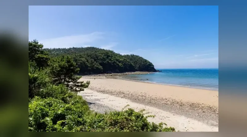 꾸지나무골캠핑장은 어느 곳인가
