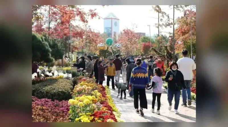 유성국화축제 일정 한눈에 보기