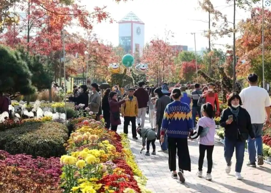 유성국화축제 일정 한눈에 보기