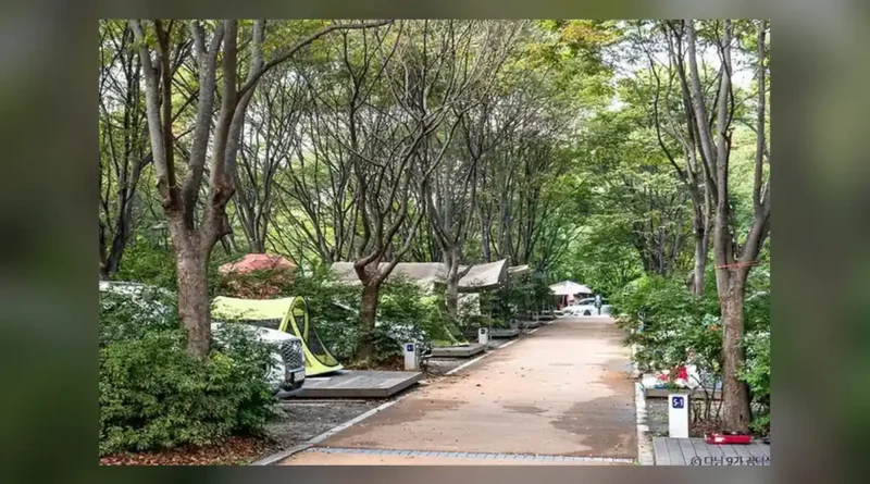 중랑캠핑숲 예약 방법과 오픈 시각