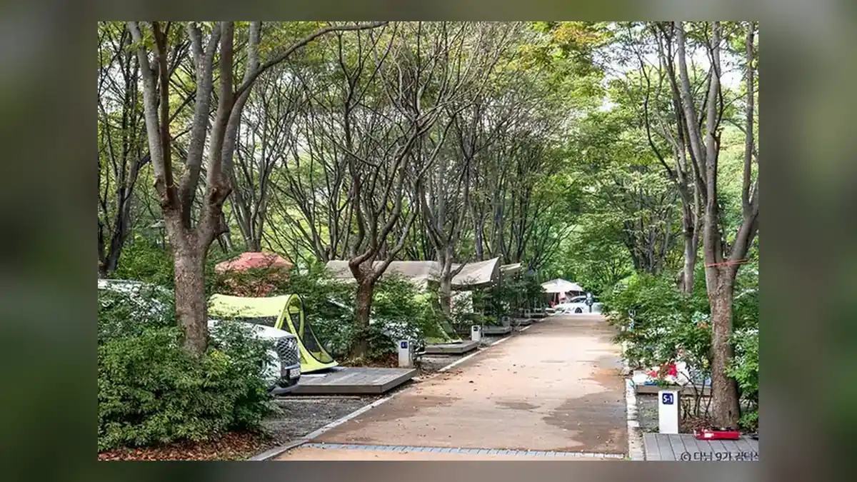 중랑캠핑숲 예약 방법과 오픈 시각