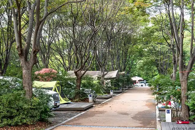 중랑캠핑숲 예약 방법과 오픈 시각