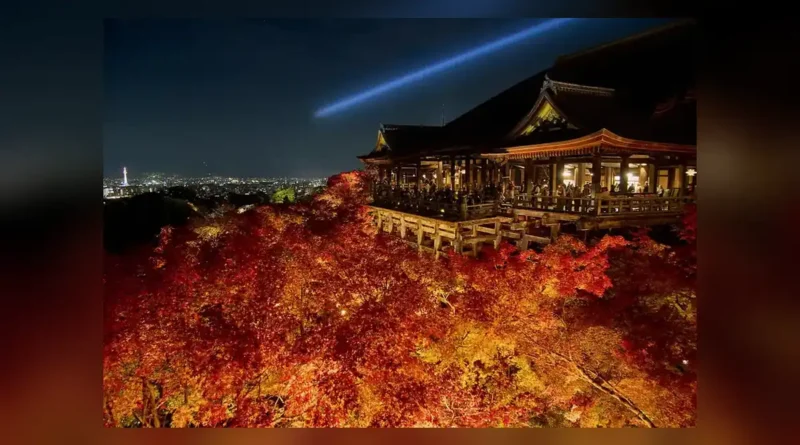 교토 단풍 시기 2026 예보
