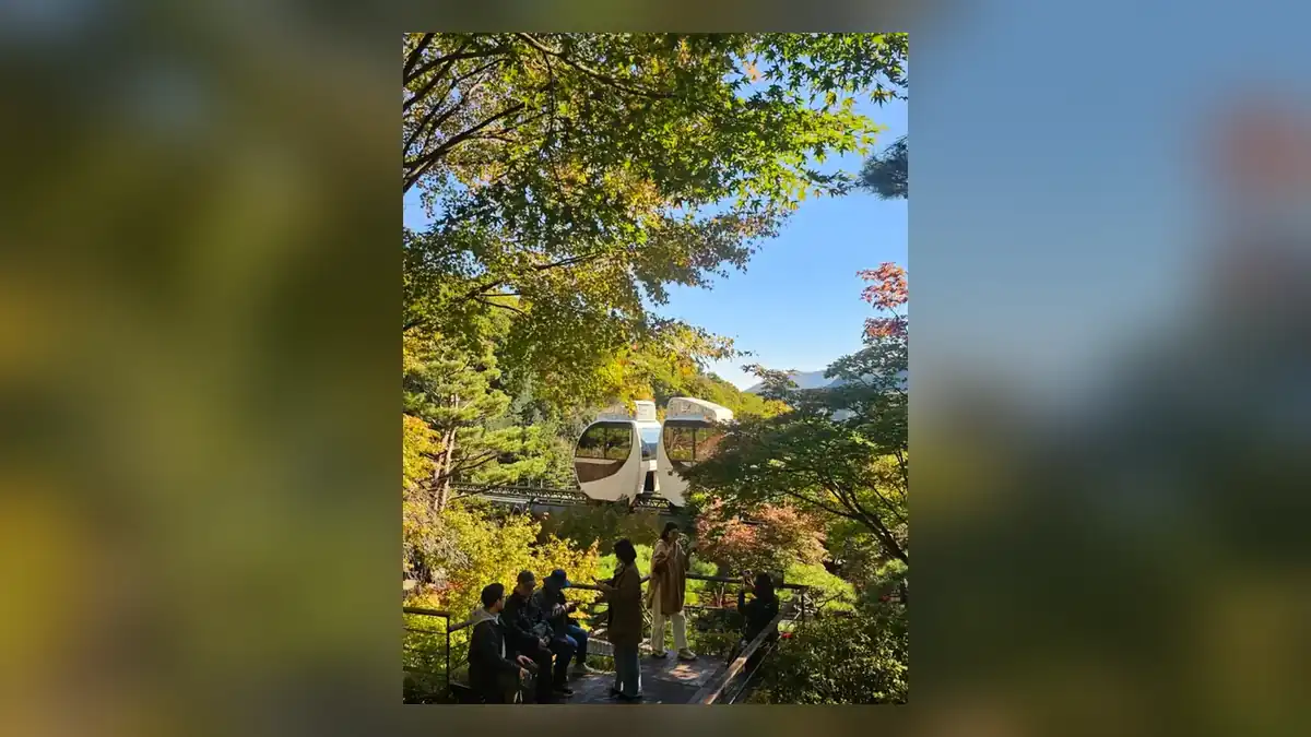 화담숲 모노레일 요금과 소요 시간