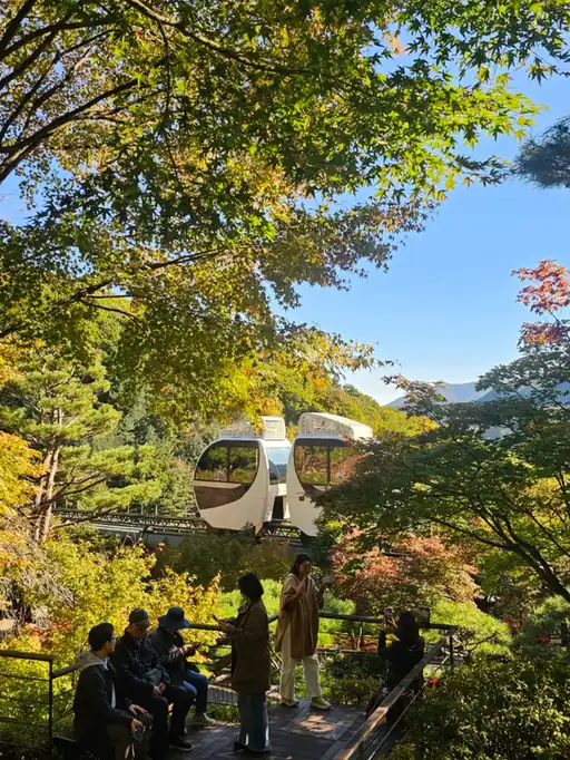 화담숲 모노레일 요금과 소요 시간