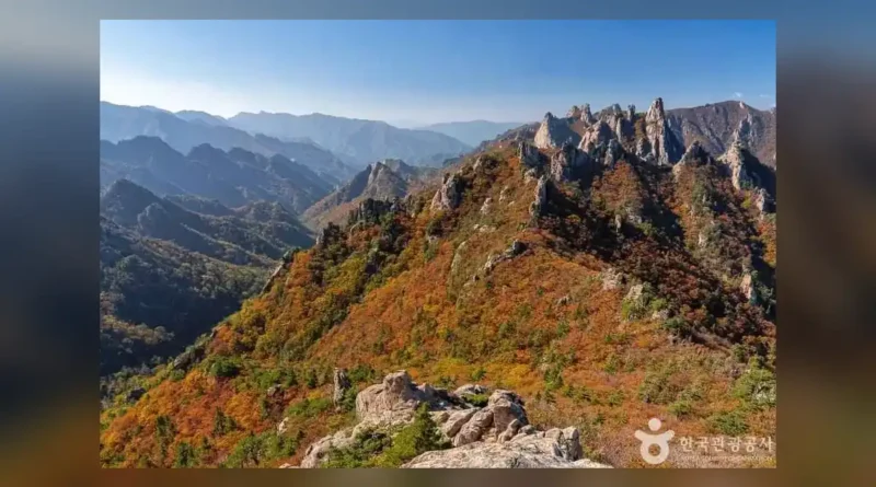 설악산 단풍 절정 2026 날짜 한눈에