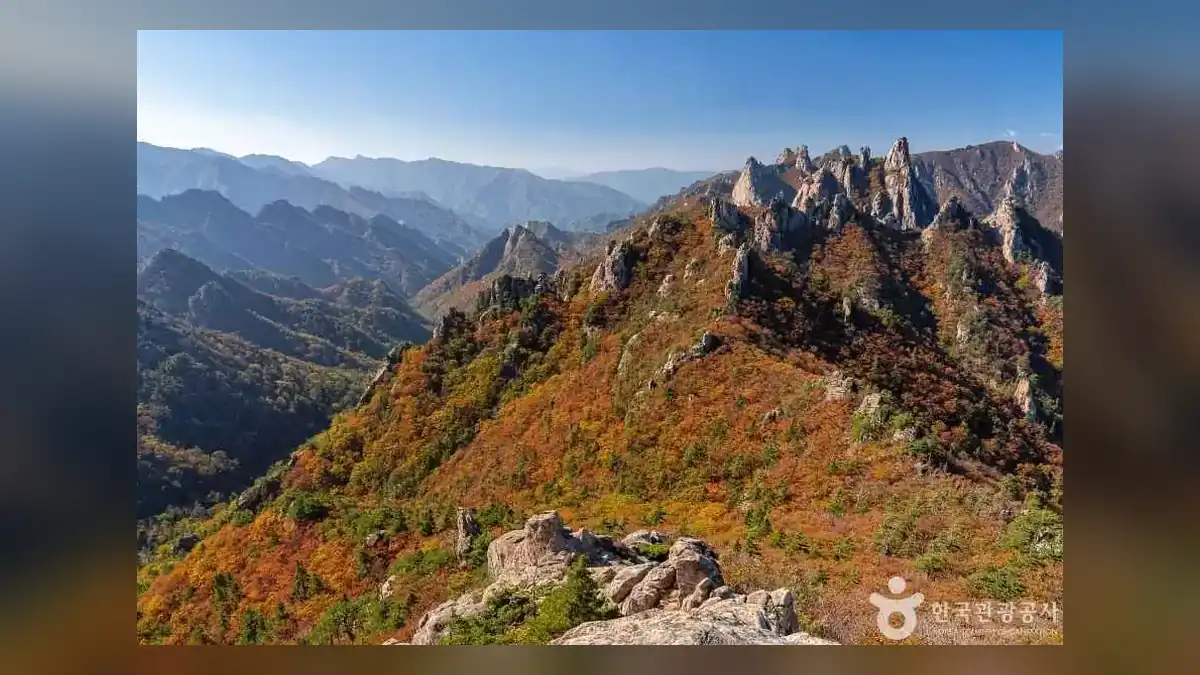 설악산 단풍 절정 2026 날짜 한눈에