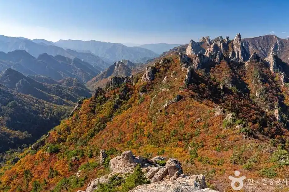 설악산 단풍 절정 2026 날짜 한눈에