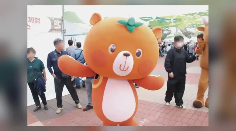 청도반시축제 일정과 기본 정보