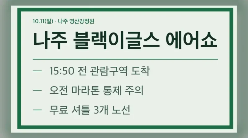 나주 블랙이글스 에어쇼 기본 정보
