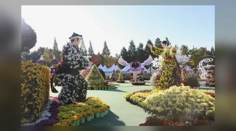 익산천만송이 국화축제 기간과 장소, 2026년 달라진 점