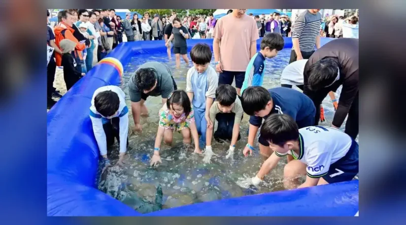 부산고등어축제 일정, 부산고등어축제 2026, 기간·장소·시간