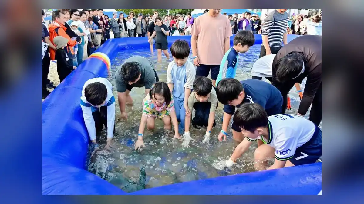 부산고등어축제 일정, 부산고등어축제 2026, 기간·장소·시간