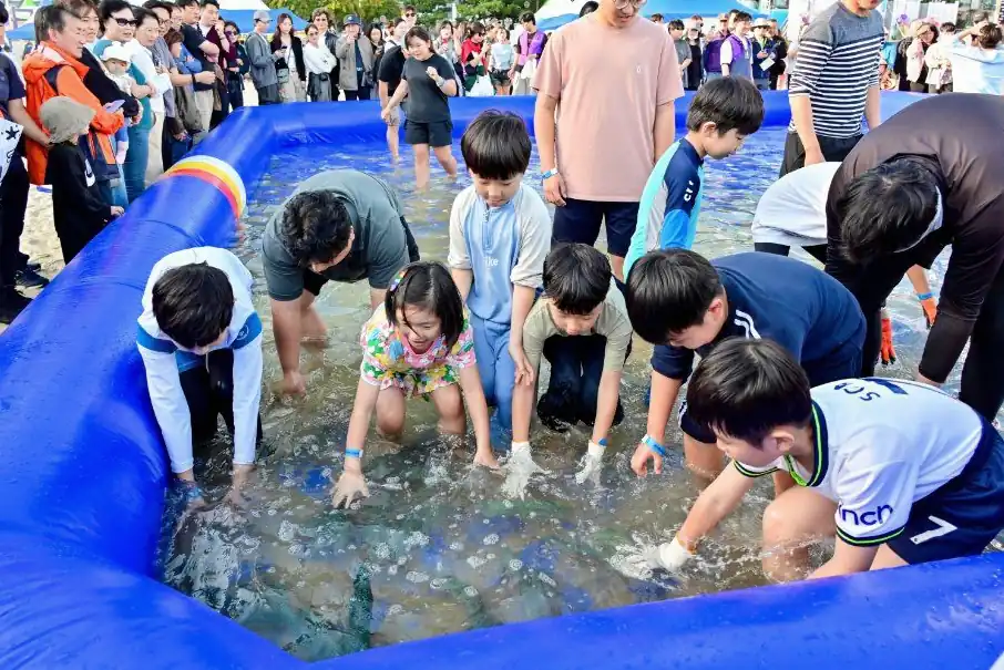 부산고등어축제 일정, 부산고등어축제 2026, 기간·장소·시간