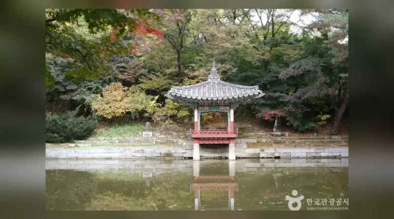 창덕궁 후원 예약 방법과 시간 한눈에 보기