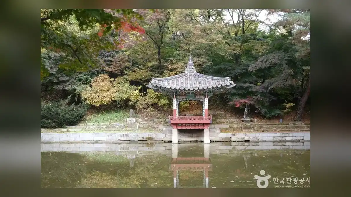창덕궁 후원 예약 방법과 시간 한눈에 보기