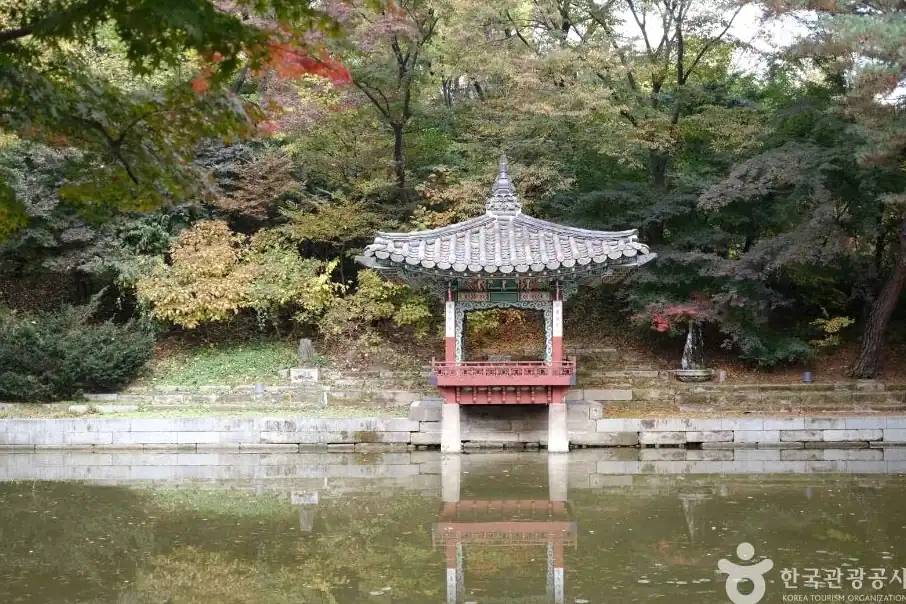창덕궁 후원 예약 방법과 시간 한눈에 보기