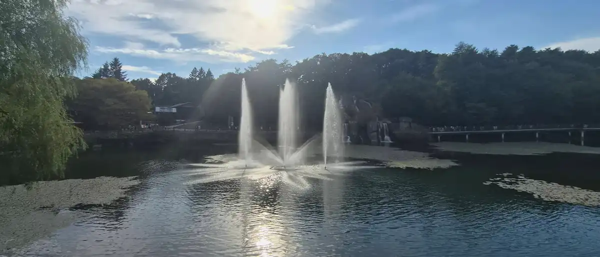 제천 의림지 갈 때 먼저 볼 정보