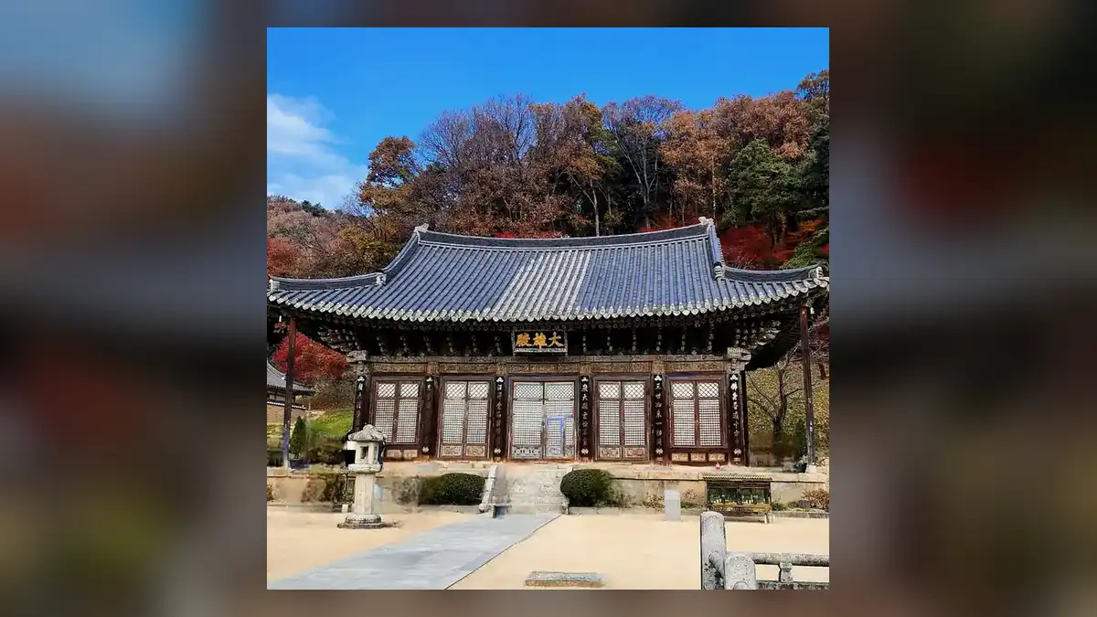 김천 직지사 맛집 가기 전 기본 정보