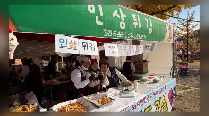 홍천 인삼한우 명품축제 기본 정보