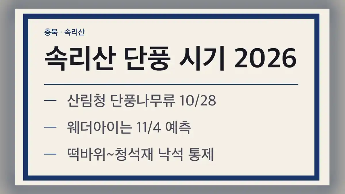속리산 단풍 시기 2026, 산림청 예측 날짜