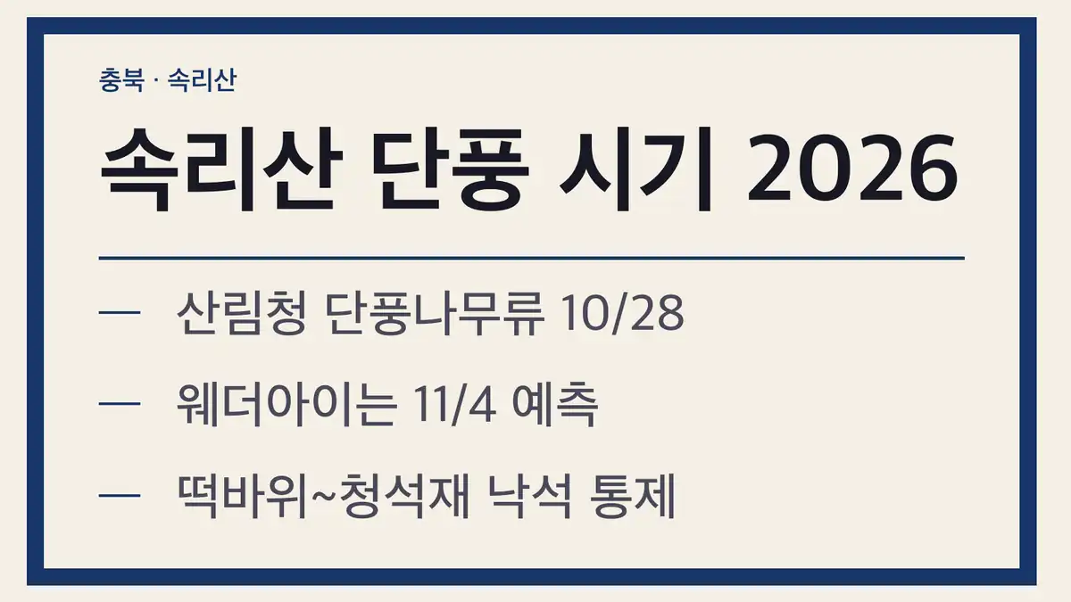 속리산 단풍 시기 2026, 산림청 예측 날짜