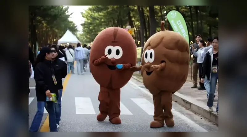 강릉커피축제 2026 기본 정보
