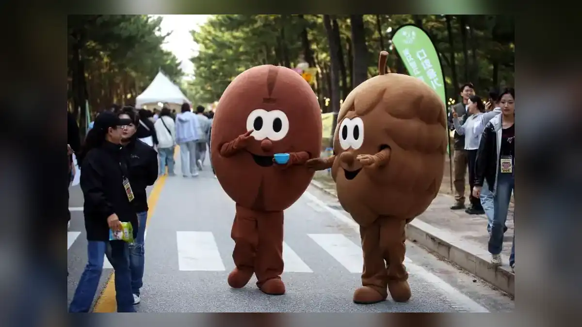강릉커피축제 2026 기본 정보
