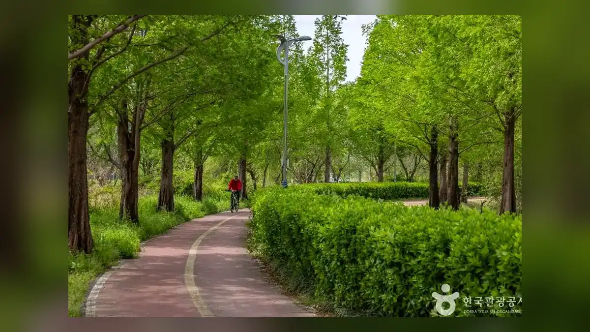 화명생태공원 2026 가을 꽃단지