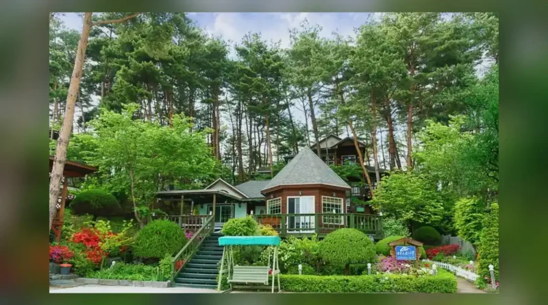 안면도휴양림 이용정보, 안면도휴양림 예약 방식과 12월 일정