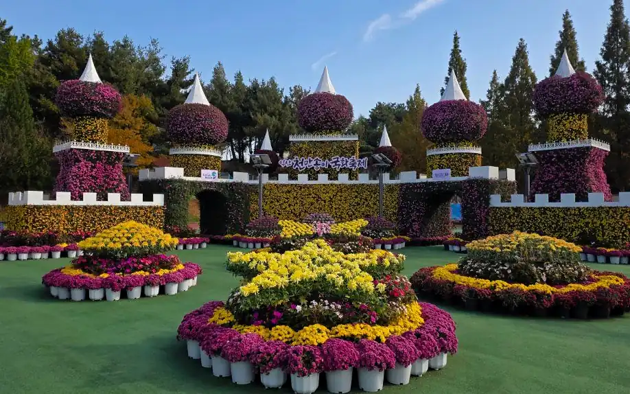 익산천만송이 국화축제 익산 국화축제 공연 일정, 불꽃놀이는 언제인가