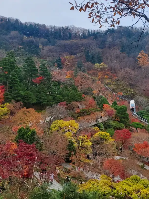 화담숲 단풍 화담숲 운영시간은 날짜별로 다릅니다