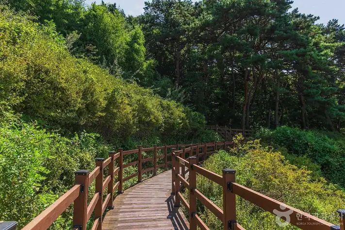안면도휴양림 숙박 요금과 객실