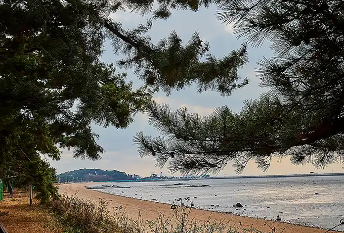 꾸지나무골캠핑장 구역별 요금 (2026년 10월 27일 공식 홈페이지 기준)