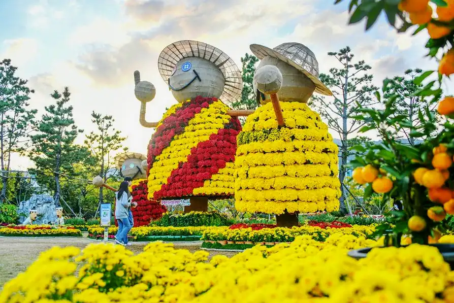 이번주 축제 가수와 공연이 있는 곳은 세 곳입니다