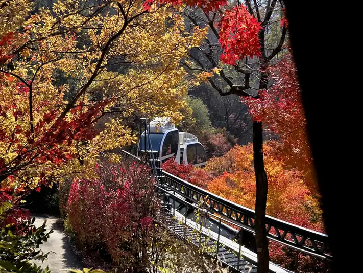 화담숲 단풍 입장료와 모노레일 요금