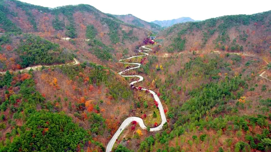 보은대추축제 날짜별 공연 시간표