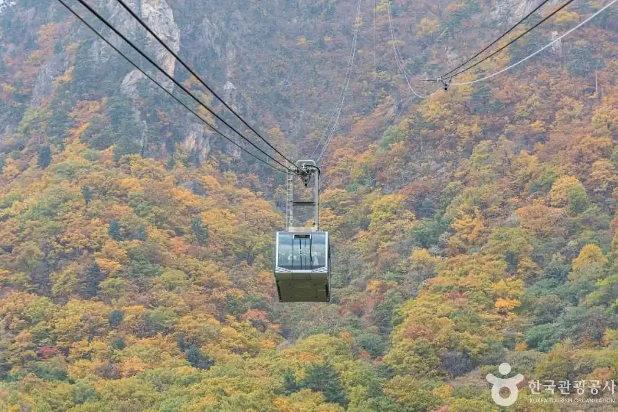 설악산 단풍 절정 주말별로 본 방문 날짜