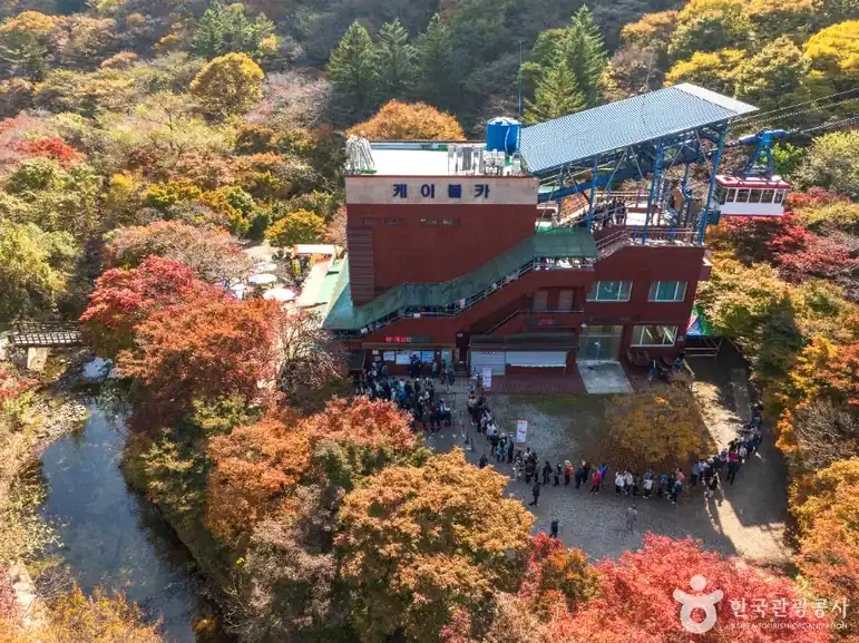 내장산 단풍 시기 단풍철 차량 통제·무료 순환버스