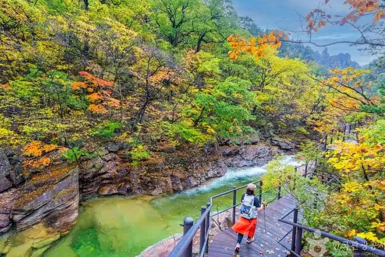 설악산 단풍 절정 출발 전날 확인할 화면 3곳